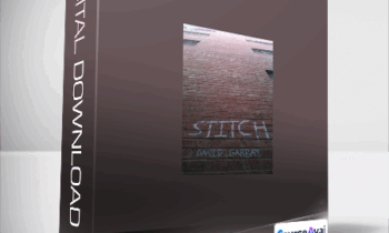 David Gabbay - Stitch!