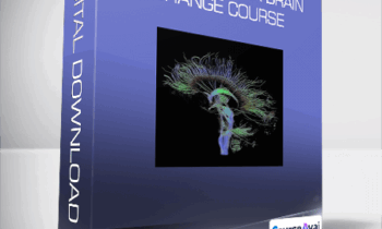 Command Z - Esozone Codex Brain Change Course