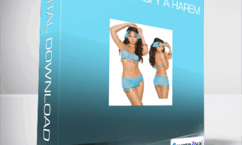 The Seeker - How to Satisfy a Harem