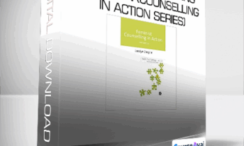 Jocelyn Chaplin - Feminist Counselling in Action (Counselling in Action series)