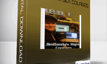 Jimdandym Ql4 Courses