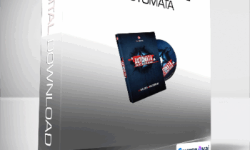 Gary Jones and Chris Congreave - Automata