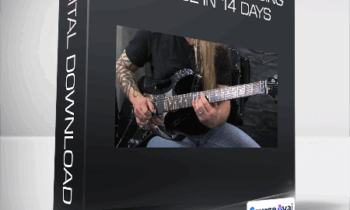 GuitarZoom - Essentials of Soloing Phrase in 14 Days