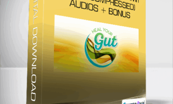 Heal Your Gut Summit 2016 (compressed) + audios + bonus