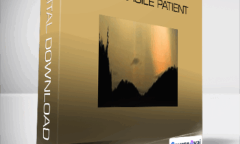 ISTDP Institute - Treatment of the Fragile Patient