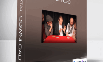 Jos Denys - Shuffled