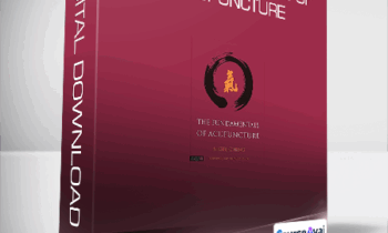 Nigel Ching & Charles Buck - The Fundamentals of Acupuncture