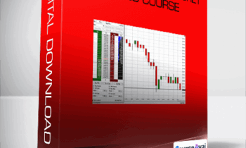 Emini SP Trading Secret Video Course