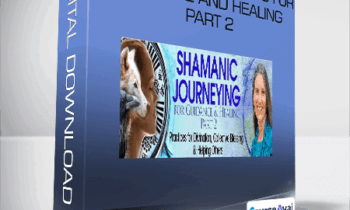 Sandra Ingerman - Shamanic Journeying For Guidance And Healing Part 2