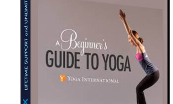A Beginner's Guide to Yoga - Nikki Estrada