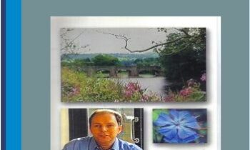 A Journey into Healing - Dr Bach Flower Essences Remedies