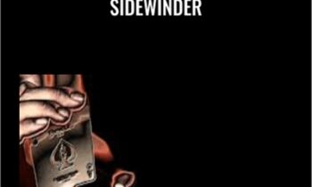 Sidewinder - Akira Fujii