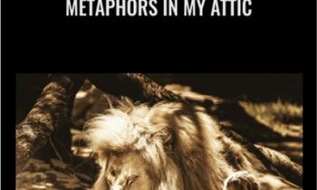 Metaphors in My Attic - Andrew Austin