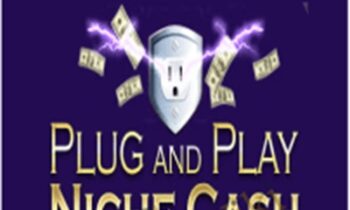 Plug and Play Niche Cash - Andrew Hansen