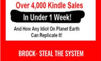 Brock - STEAL The System
