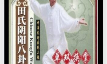 Tian Shi Yin Yang - Ba Gua Zhang