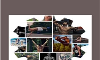 The System -Calisthenics - Bar Brothers