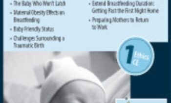 Breastfeeding Success-Supporting the Mother/Baby Journey - Dawn M. Kersula