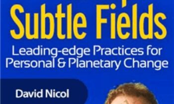 Building Group Subtle Fields - David Nicol