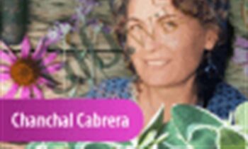 Growing Your Own Herbal Medicine - Chanchal Cabrera