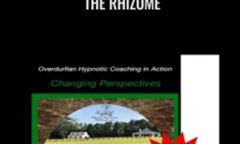 Changing Perspectives through the Rhizome - John Overdurf