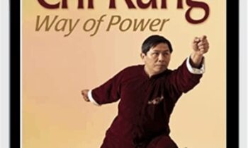 Chi Kung: Way of Power - Lam Kam Chuen