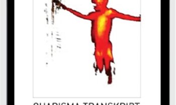 Charisma - Chris Mulzer