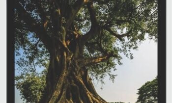 Clearing Major Areas of Ancestral Karma (7 Clearings) - Michael David Golzmane