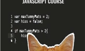 Coding for Cats-Cat-Themed JavaScript Course - Mammoth Interactive