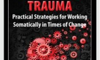 Collective Trauma: Practical Strategies for Working Somatically in Times of Change - Manuela Mischke-Reeds
