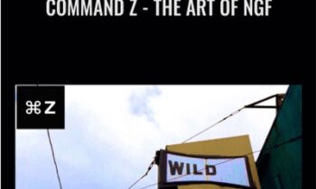Command Z-The Art of NGF - Garrett Daun and Lance Leeson
