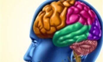 Complete Care for the Neuro Patient: Treatment of Strokes