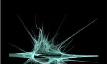 Consciousness Shifting - Brent Phillips & Daniel Metraux