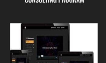 Consulting Program - Lion Zeal