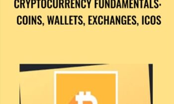 Cryptocurrency Fundamentals: Coins