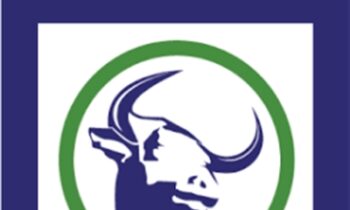 Master Stock Course - Cyber Trading University