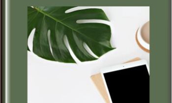 DEI Blueprint Enrollment 2022 - Dr. Sam