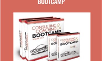Consulting and Coaching Bootcamp - Dan Kennedy