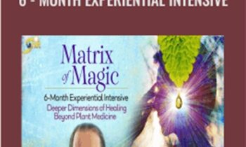 Matric of Magic-6-Month Experiential Intensive - David Crow