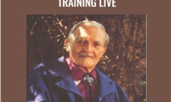 Therapeutic Metaphor Training LIVE - David Gordon