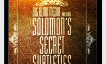 Solomons Secret Subtleties - David Solomon