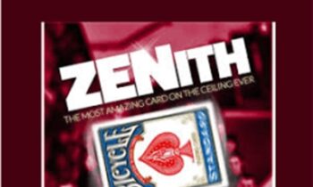 Zenith - David Stone