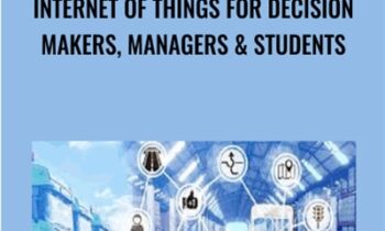 Internet of Things for Decision Makers