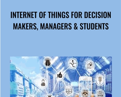 Internet of Things for Decision Makers