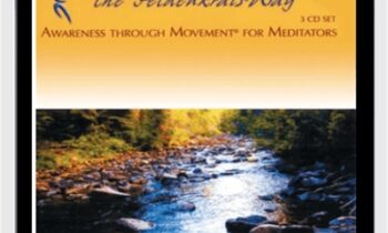 Meditation The Feldenkrais Way - Donna Ray