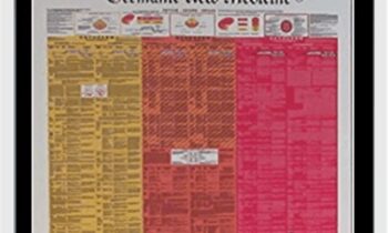 The Scientific Chart Of Germanic New Medicine - Ryke Geer Hamer