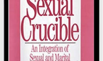 Constructing the Sexual Crucible: An Integration of Sexual and Marital Therapy - David Schnarch
