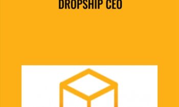 Dropship CEO - Lance Tamashiro and Robert Plank