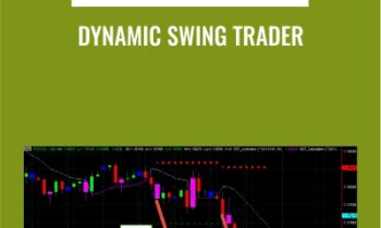 Dynamic Swing Trader - NETPICKS (Unlocked)