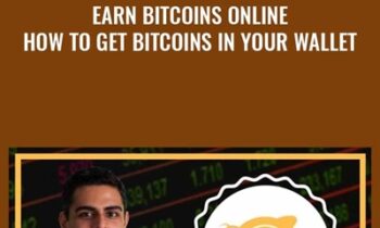 Earn Bitcoins Online How To Get Bitcoins In Your Wallet - Earik Beann